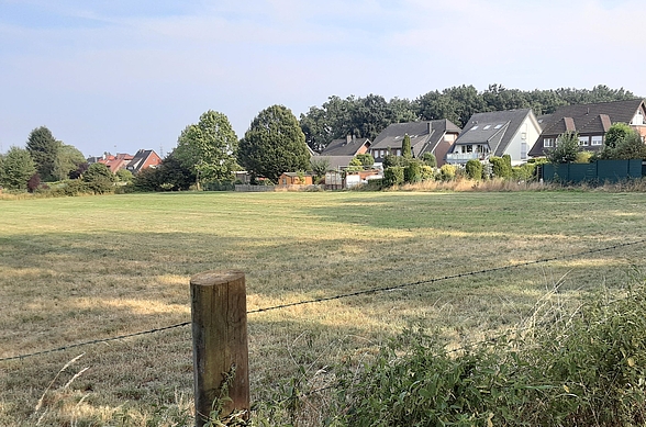 Grafenwald, Wiese an der Straße Heimersfeld